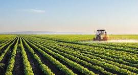 Farming